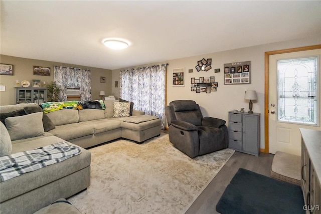 living area featuring wood finished floors