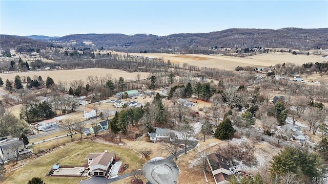 birds eye view of property with a mountain view