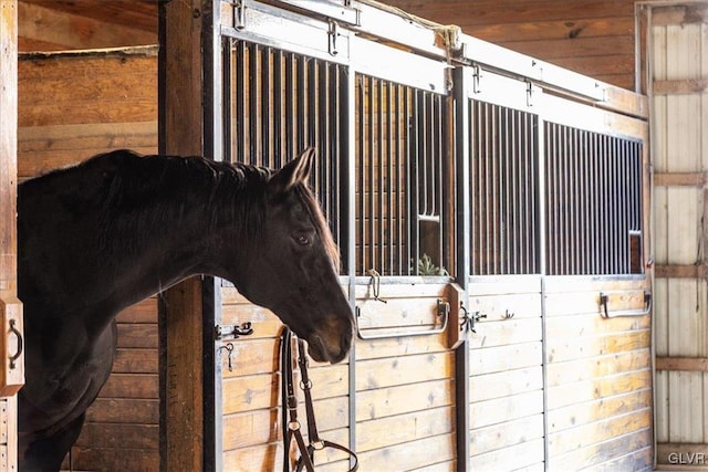 view of stable featuring a sink