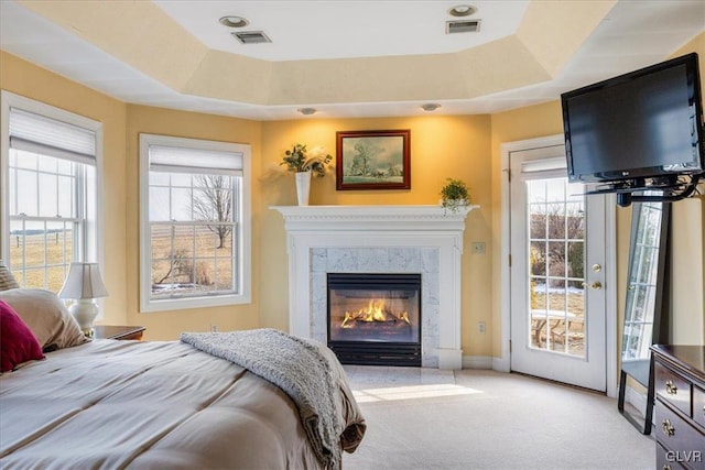 bedroom with access to exterior, multiple windows, and a raised ceiling