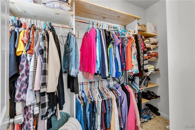 spacious closet with carpet