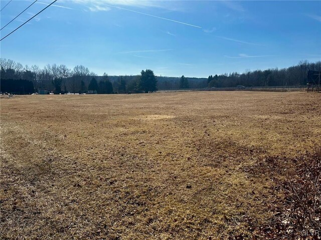 view of local wilderness featuring a rural view