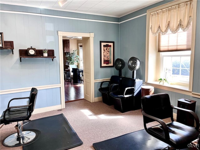 office space with ornamental molding and carpet flooring