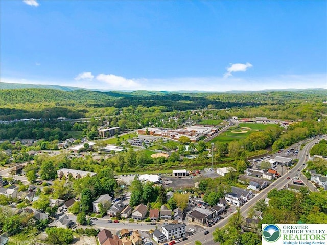 63 N 10th St, Stroudsburg, PA 18360 - bird's eye view of a forest