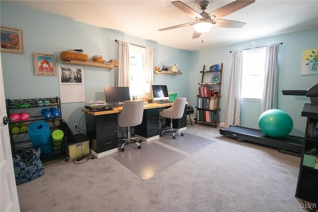 office area with a wealth of natural light, light colored carpet, and ceiling fan