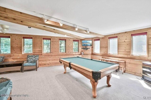 134 Moseywood Rd, Kidder Township S, PA 18624 - rec room featuring pool table, wood walls, and light colored carpet
