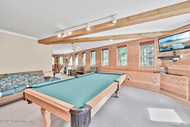 134 Moseywood Rd, Kidder Township S, PA 18624 - recreation room with carpet floors, ornamental molding, billiards, and wooden walls