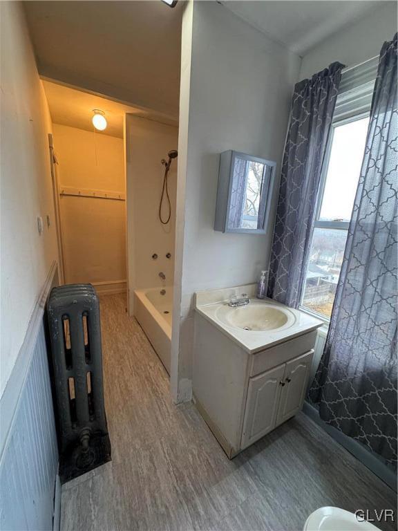 bathroom featuring vanity, wood finished floors, and a shower with shower curtain