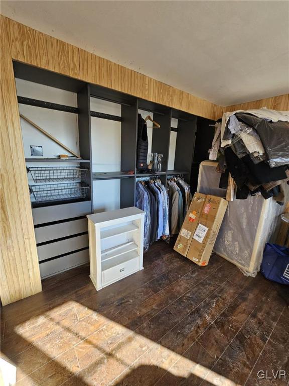 walk in closet featuring wood-type flooring