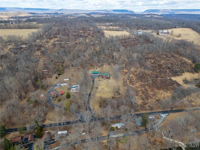 birds eye view of property featuring a mountain view