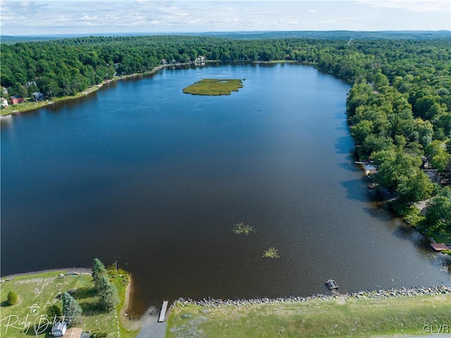 drone / aerial view featuring a water view and a view of trees