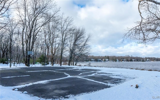 view of yard covered in snow