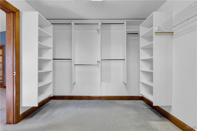 walk in closet with carpet