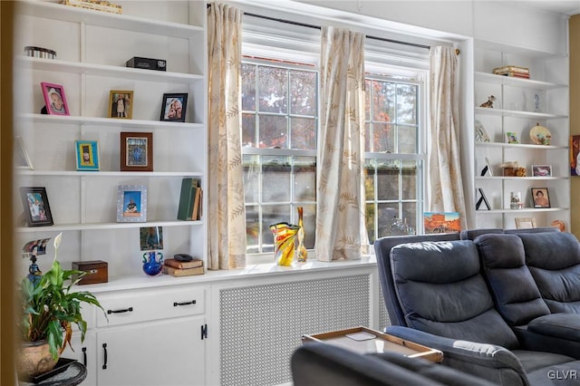 living area with radiator heating unit and built in features