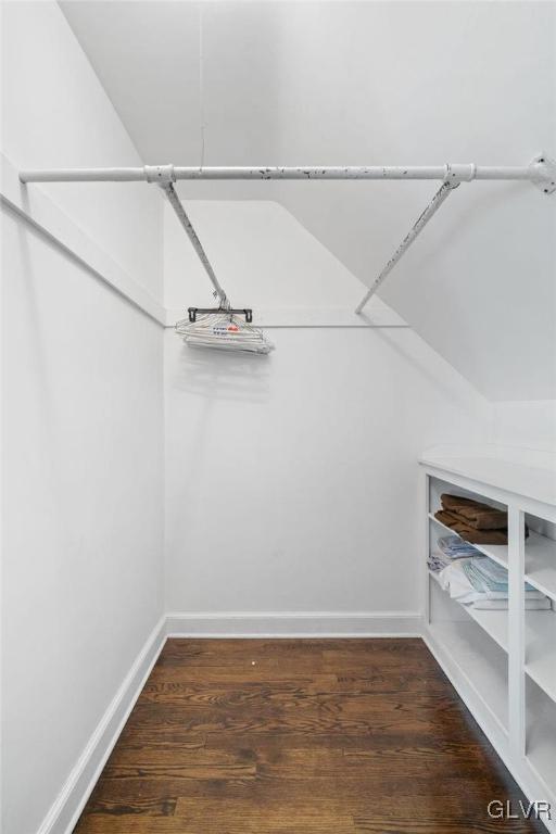 walk in closet featuring wood finished floors