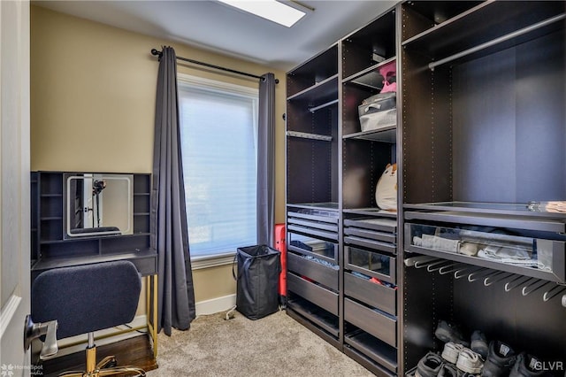 walk in closet with carpet floors