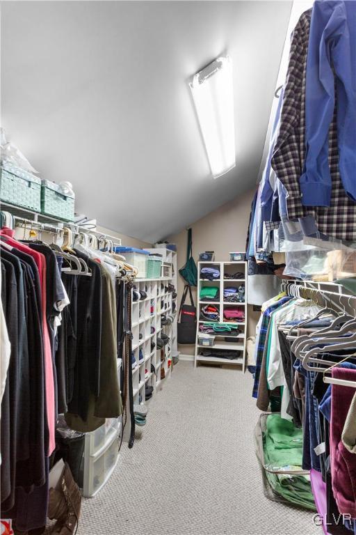 spacious closet with vaulted ceiling and carpet