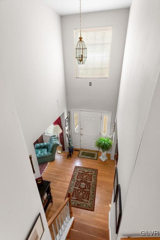 entryway featuring a high ceiling and wood finished floors