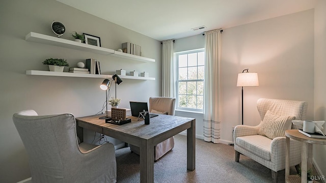 carpeted office space with visible vents and baseboards