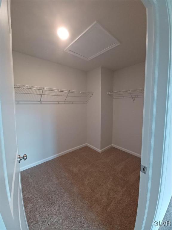 walk in closet featuring carpet floors and attic access