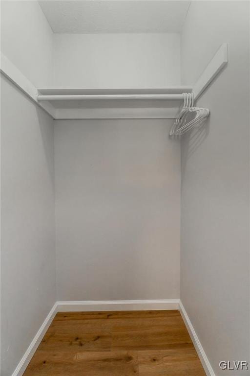 spacious closet with wood finished floors