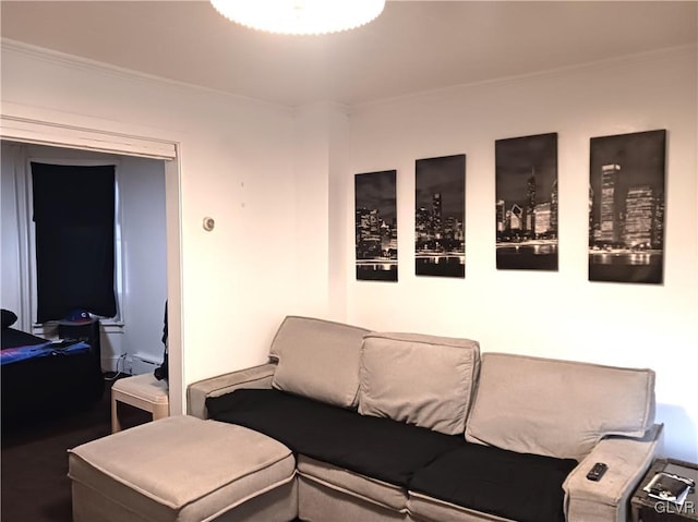 living area with ornamental molding