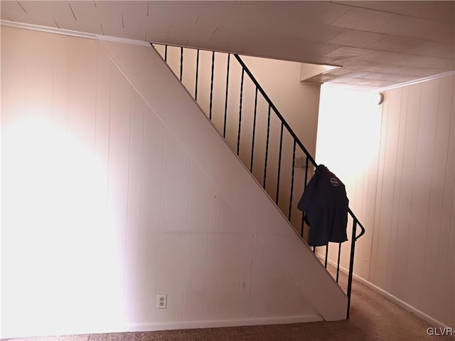 staircase with carpet and wood walls