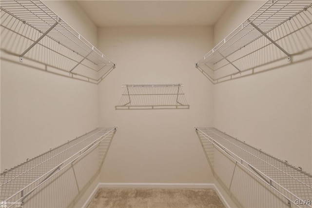 walk in closet with light carpet