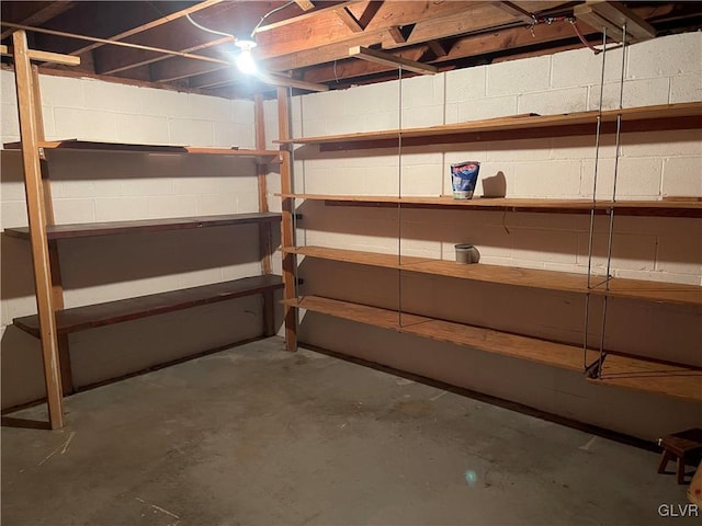 unfinished basement featuring concrete block wall