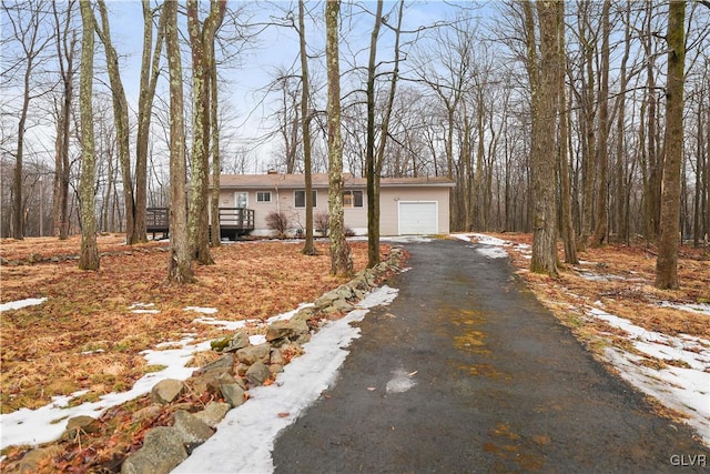 view of front of house with driveway and a garage