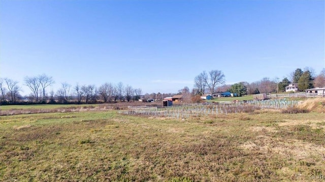 view of yard with a rural view