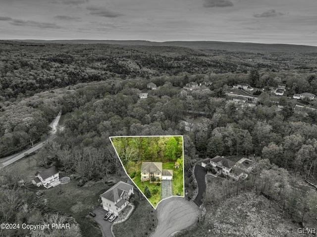 aerial view with a wooded view