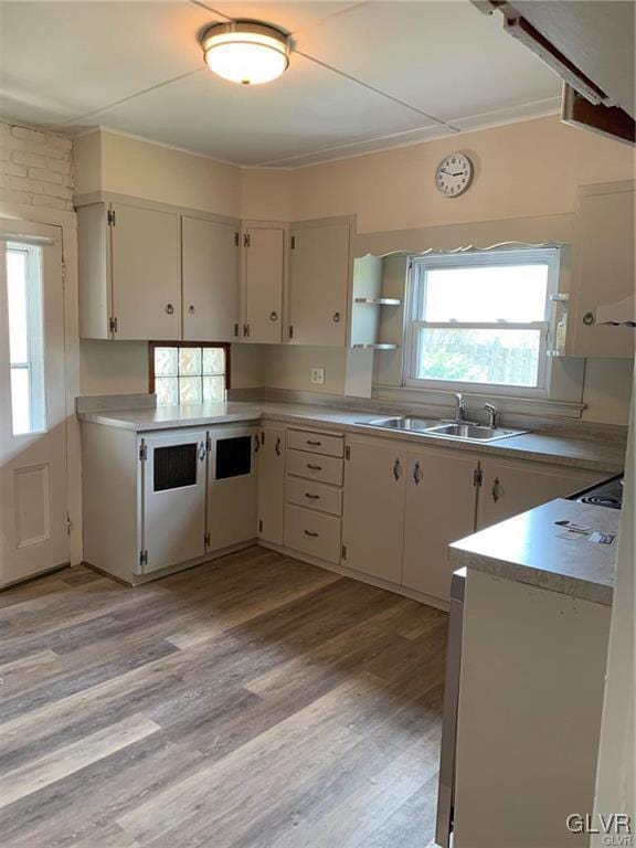 kitchen featuring light wood-style floors, light countertops, and a sink