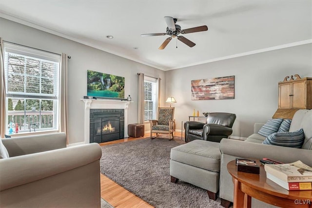 living room featuring a wealth of natural light, a warm lit fireplace, crown molding, and wood finished floors