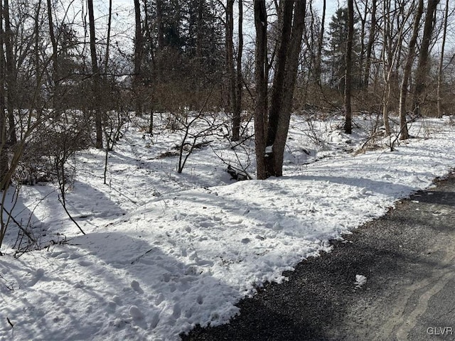 view of yard covered in snow