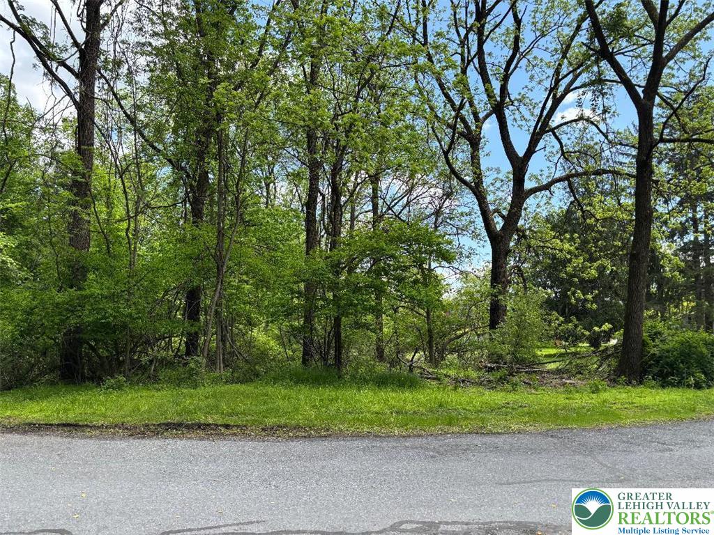1st St, Portland Borough, PA 18351 - view of road featuring a forest view