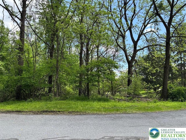1st St, Portland Borough, PA 18351 - view of road featuring a forest view