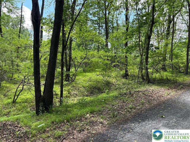 1st St, Portland Borough, PA 18351 - view of nature