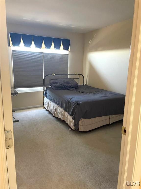 bedroom with carpet