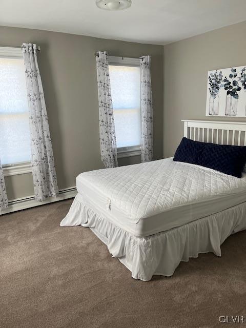 bedroom with multiple windows, carpet floors, and a baseboard radiator