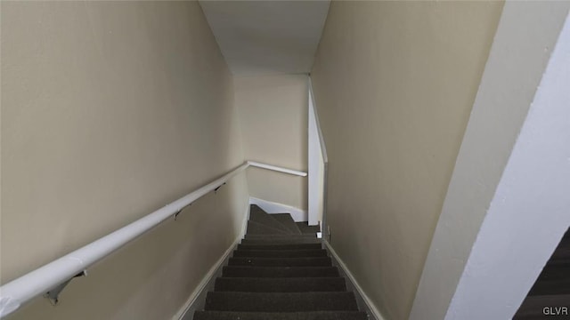 staircase featuring carpet floors