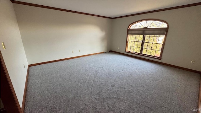 spare room featuring crown molding, carpet, and baseboards