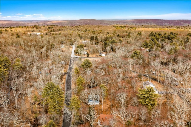 birds eye view of property with a forest view