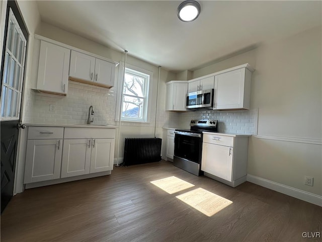 kitchen featuring radiator, wood finished floors, appliances with stainless steel finishes, and a sink