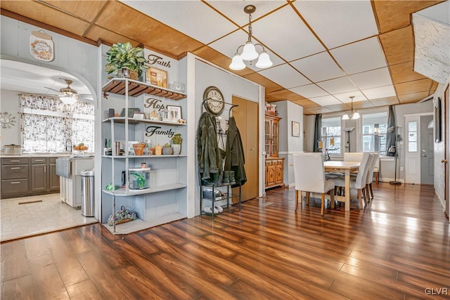 dining area featuring ceiling fan with notable chandelier, wood finished floors, and a paneled ceiling