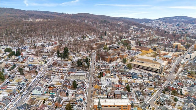 birds eye view of property featuring a mountain view