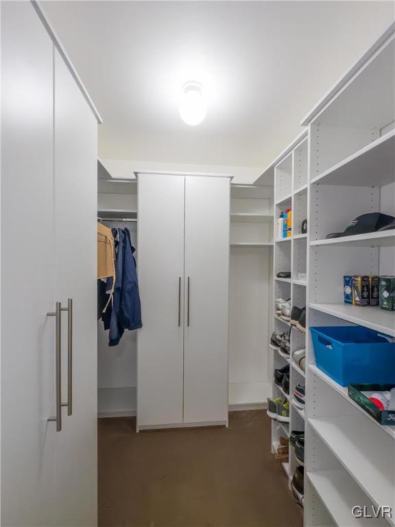 view of walk in closet