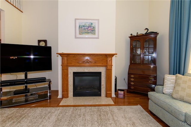 living room featuring wood finished floors and a premium fireplace