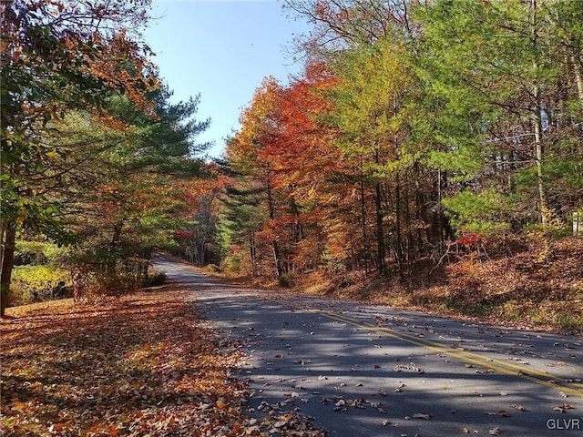 view of road featuring a wooded view