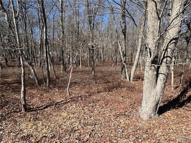 view of landscape